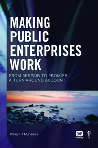 Making Public Enterprises Work_cover