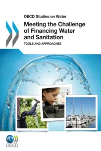 Meeting the Challenge of Financing Water and Sanitation_cover