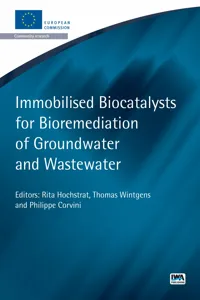 Immobilised Biocatalysts for Bioremediation of Groundwater and Wastewater_cover