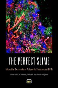 The Perfect Slime_cover