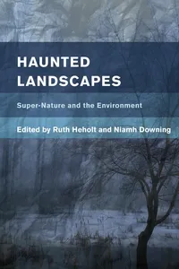 Haunted Landscapes_cover