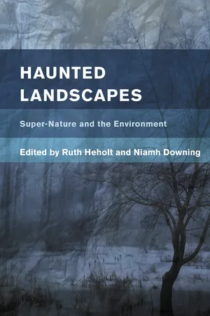 Book cover image for: Haunted Landscapes