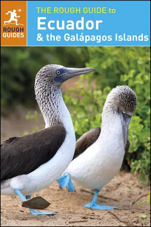 The Rough Guide to Ecuador & the Galápagos Islands