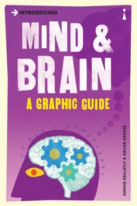 Introducing Mind and Brain_cover