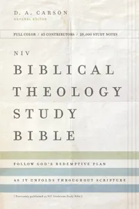 NIV, Biblical Theology Study Bible_cover