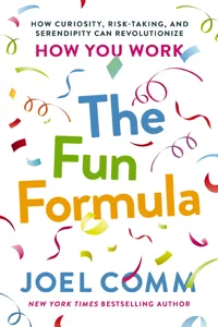 The Fun Formula_cover
