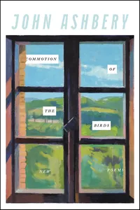 Commotion of the Birds_cover