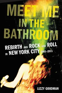 Meet Me in the Bathroom_cover