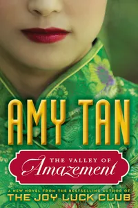 The Valley of Amazement_cover