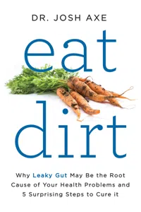 Eat Dirt_cover