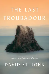 The Last Troubadour_cover