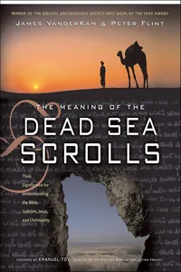 The Meaning of the Dead Sea Scrolls_cover