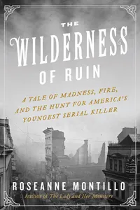 The Wilderness of Ruin_cover