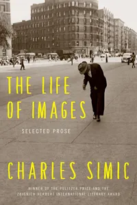 The Life of Images_cover