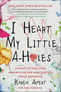 I Heart My Little A-Holes_cover