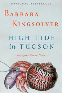 High Tide in Tucson_cover