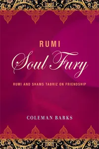 Rumi: Soul Fury_cover