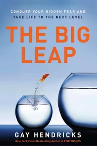 The Big Leap_cover
