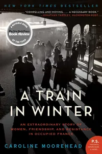 A Train in Winter_cover