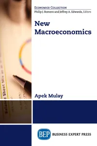 New Macroeconomics_cover