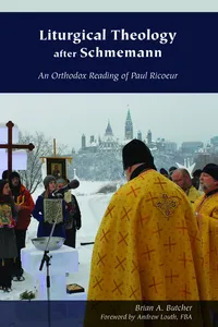 Liturgical Theology after Schmemann_cover