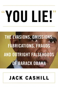 You Lie!_cover