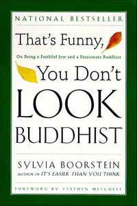 That's Funny, You Don't Look Buddhist_cover