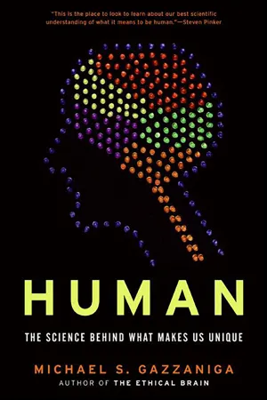 Human