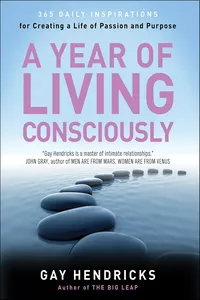 A Year of Living Consciously_cover