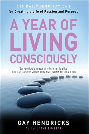 A Year of Living Consciously