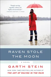 Raven Stole the Moon_cover