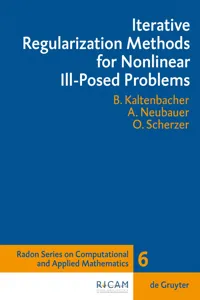 Iterative Regularization Methods for Nonlinear Ill-Posed Problems_cover