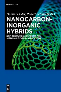 Nanocarbon-Inorganic Hybrids_cover