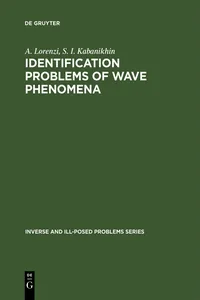 Identification Problems of Wave Phenomena_cover