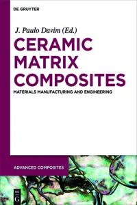 Ceramic Matrix Composites_cover