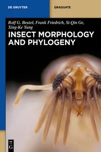 Insect Morphology and Phylogeny_cover