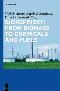 Biorefinery: From Biomass to Chemicals and Fuels_cover