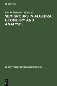 Semigroups in Algebra, Geometry and Analysis_cover