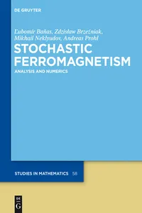 Stochastic Ferromagnetism_cover