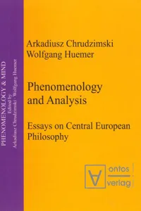 Phenomenology & Analysis_cover