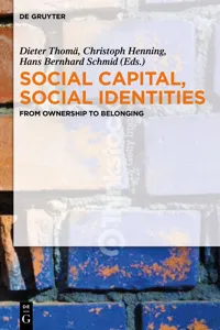 Social Capital, Social Identities_cover