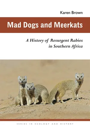 Mad Dogs and Meerkats