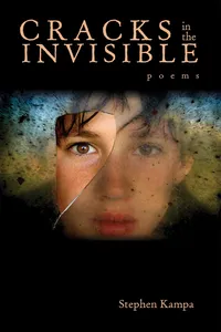 Cracks in the Invisible_cover