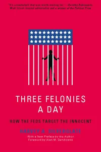 Three Felonies A Day_cover