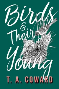 Birds and Their Young_cover