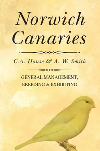 Norwich Canaries_cover