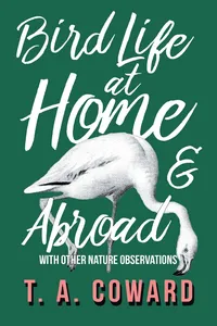 Bird Life at Home and Abroad - With Other Nature Observations_cover
