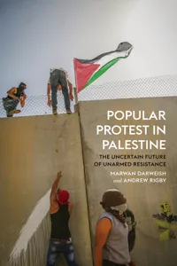 Popular Protest in Palestine_cover