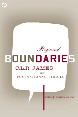 Beyond Boundaries