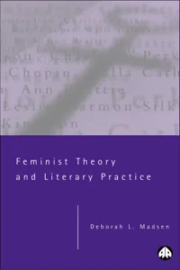 Feminist Theory and Literary Practice_cover